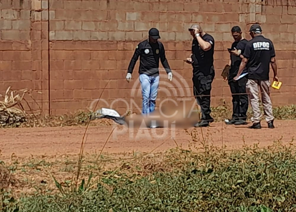 Corpo é encontrado às margens da BR-343 em Teresina