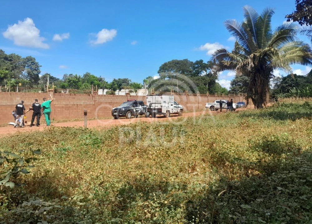 Corpo é encontrado às margens da BR-343 em Teresina