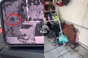 Criminosos invadem loja três vezes na mesma madrugada no Centro de Teresina (Foto: Reprodução)