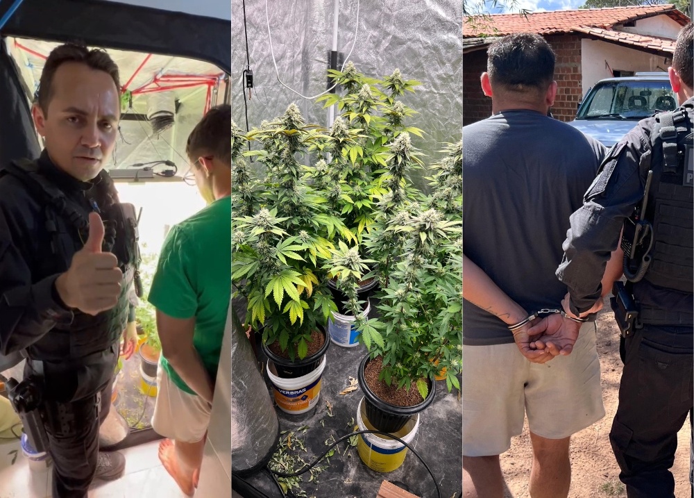 DRACO deflagra operação para desarticular organização criminosa em Pedro II