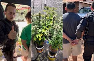 DRACO deflagra operação para desarticular organização criminosa em Pedro II (Foto: Divulgação/DRACO)