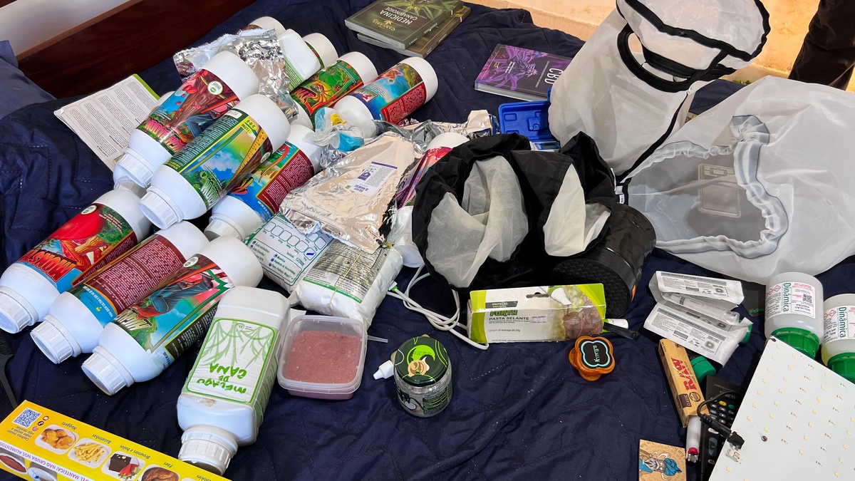 DRACO deflagra operação para desarticular organização criminosa em Pedro II