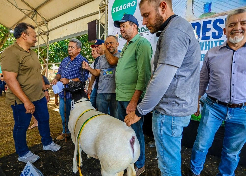 Fábio Abreu é homenageado na Exposição Nordestina das Raças Dorper & White Dorper