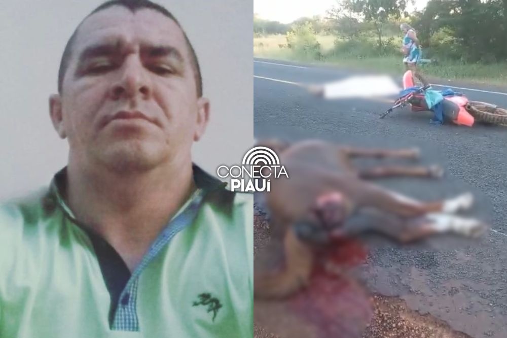 Homem morre após colidir moto com cavalo na estrada entre Campo Maior e Cabeceiras