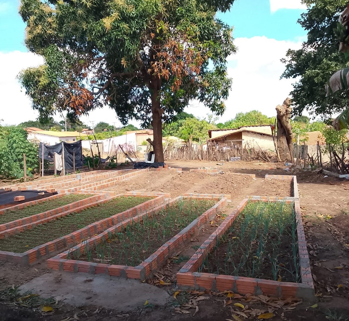 Horta comunitária recebe 1ª obra do OPA com construção de muro em Floriano