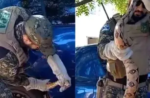 Jiboia é resgatada de carro no estacionamento de hospital em Teresina (Foto: Reprodução)