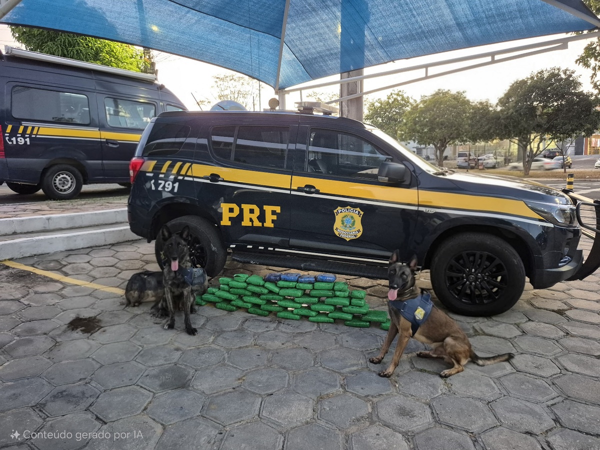 Maconha escondida em cilindros falsos na zona Sul de Teresina
