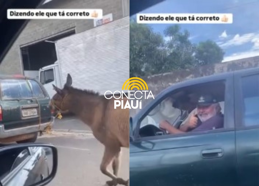 Motorista é flagrado arrastando jumento amarrado a carro em Teresina