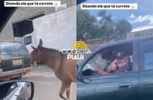 Motorista é flagrado arrastando jumento amarrado a carro em Teresina (Foto: Reprodução) Motorista é flagrado arrastando jumento amarrado a carro em Teresina (Foto: Reprodução)