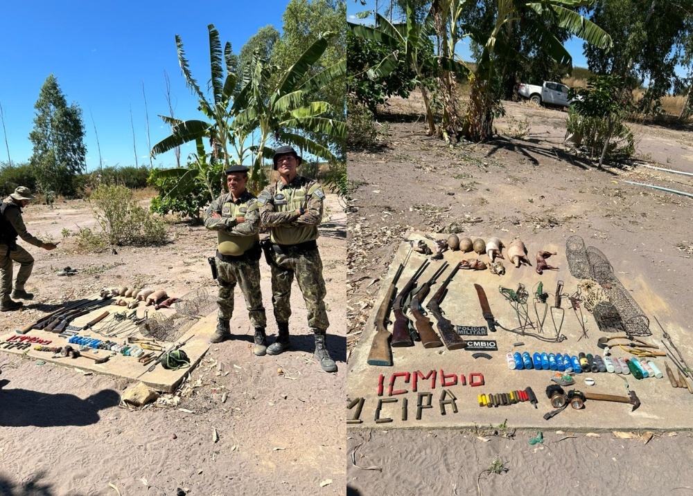 Operação apreende 26 armas e mais de 30 animais silvestres no Sul do Piauí