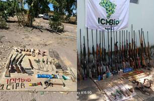 Operação apreende 26 armas e mais de 30 animais silvestres no Sul do Piauí (Foto: Divulgação/PMPI)