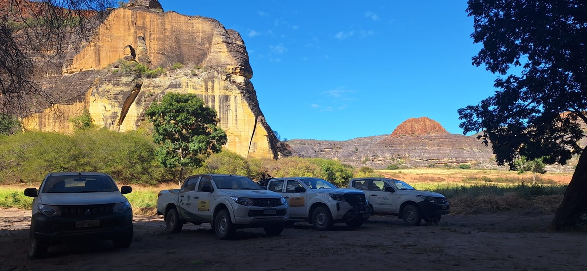 Operação apreende 26 armas e mais de 30 animais silvestres no Sul do Piauí