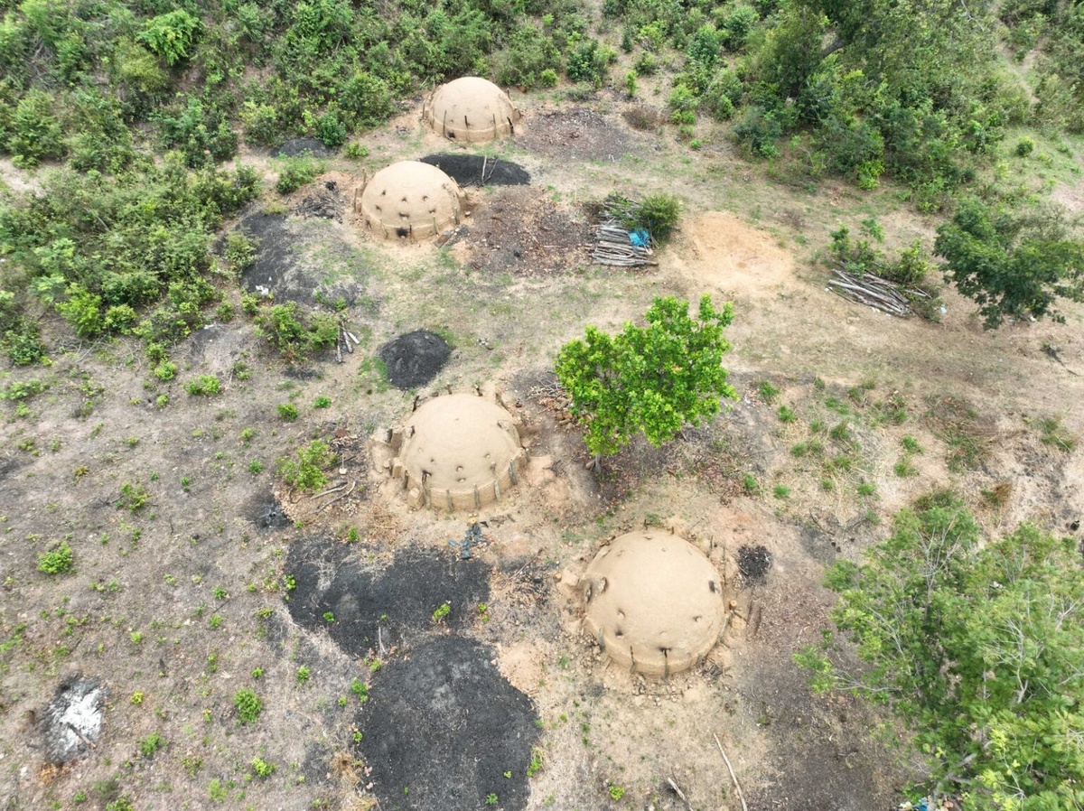 Operação desarticula mais de 30 fornos ilegais de carvão no Piauí