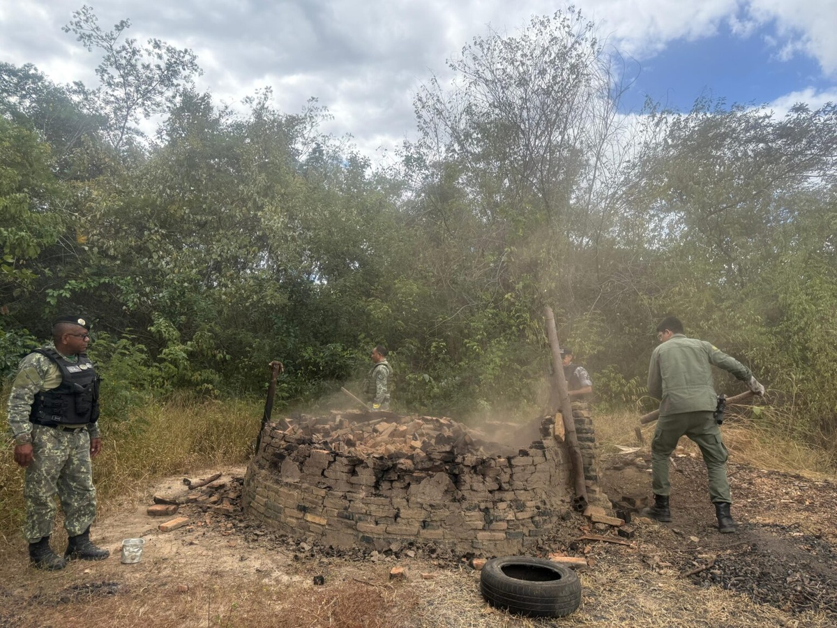 Operação desarticula mais de 30 fornos ilegais de carvão no Piauí