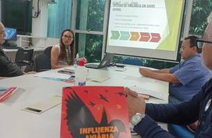 Órgãos alinham ações conjuntas de prevenção e controle da gripe aviária no Piauí (Foto: Reprodução)