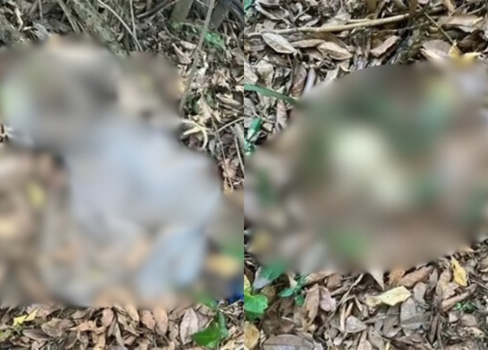 Ossada humana é encontrada às margens do Rio Parnaíba, em Teresina