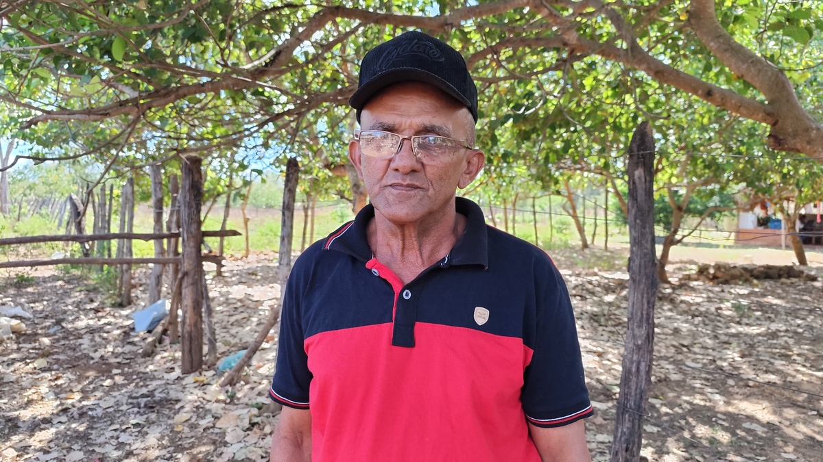 Piauí registra nascimento dos primeiros bezerros do programa ‘Piauí Mais Genética’