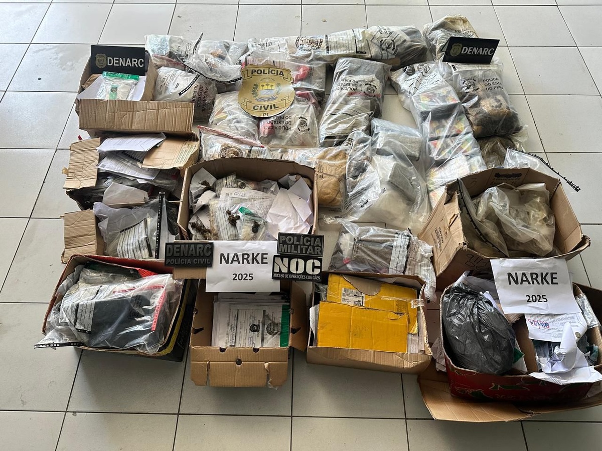 Polícia Civil incinera 200 kg de drogas em ação da Operação Narke no Piauí