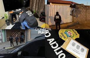 Polícia Civil prende 12 pessoas em operação contra golpes de hospedagens falsas (Foto: Reprodução)