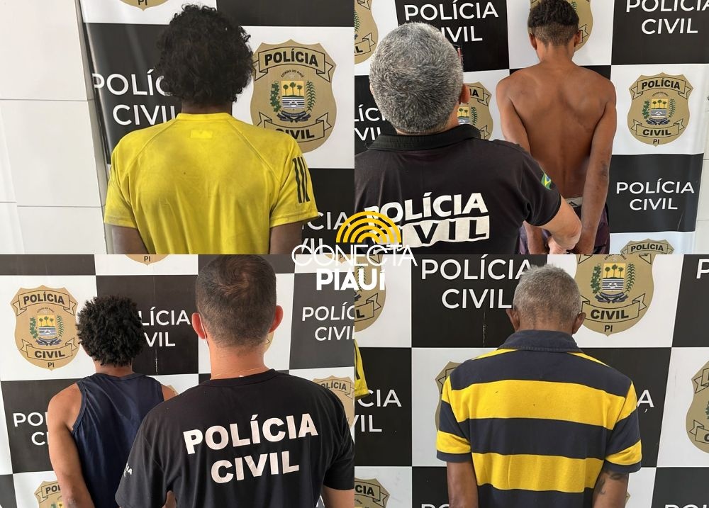 Polícia Civil prende sete suspeitos de roubos e furtos na zona Centro de Teresina