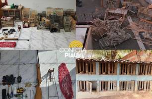 Polícia desarticula rinha de galos e tráfico de aves silvestres em Pio IX (Foto: Reprodução)