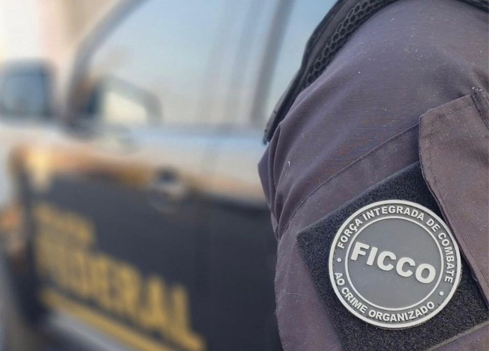 Polícias deflagram operação contra organização criminosa em três cidades do PI