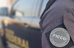 Polícias deflagram operação contra organização criminosa em três cidades do PI (Foto: Reprodução)