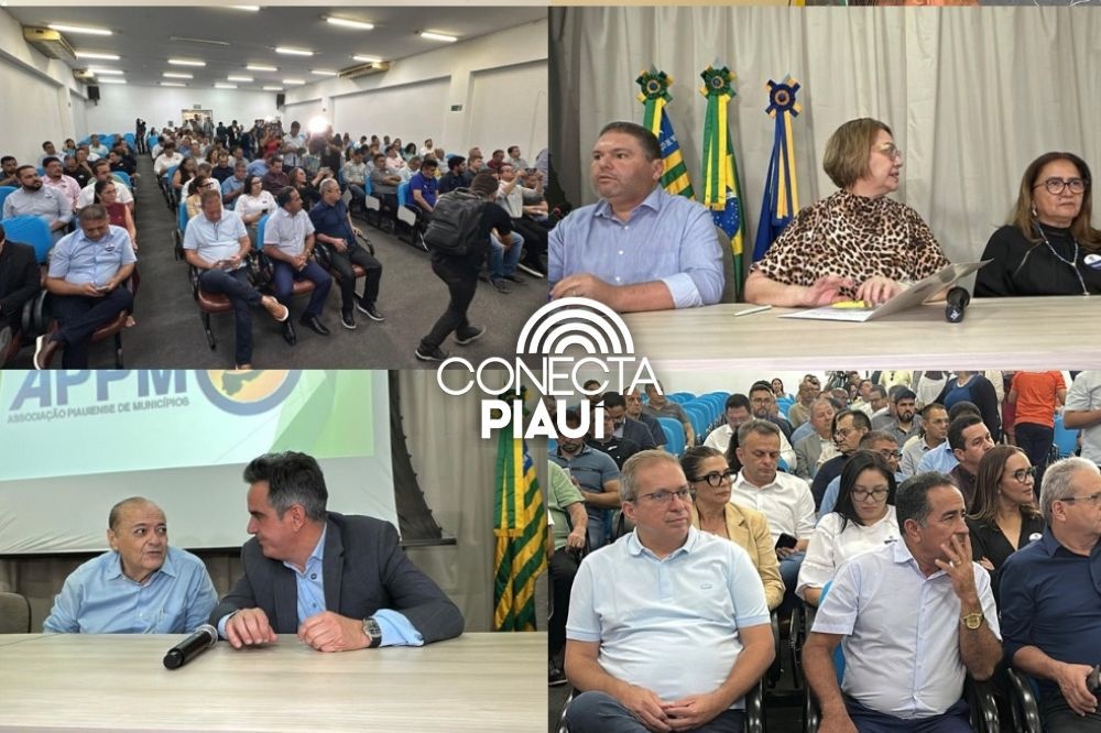 Prefeitos do Piauí discutem mudanças eleitorais em reunião na APPM