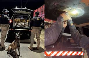 PRF apreende 210 kg de cocaína e 20 kg de skunk na BR-316 em Picos (Foto: Reprodução/PRF)