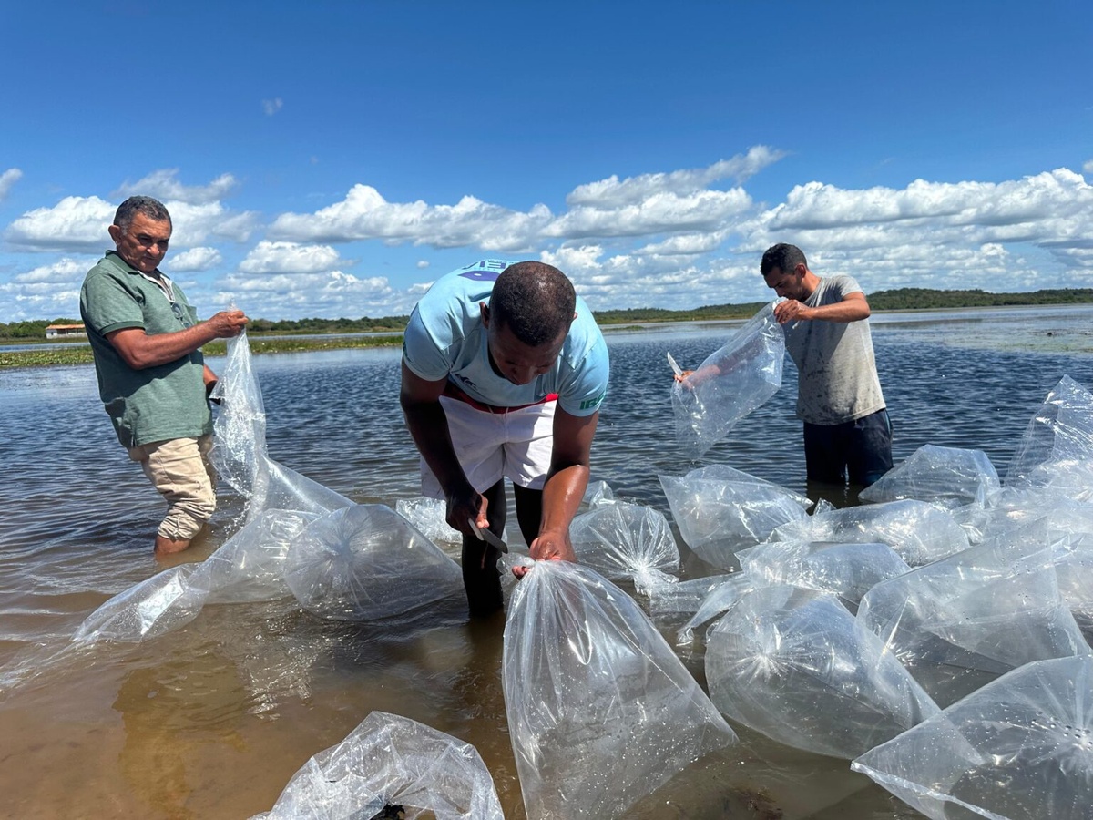 Semarh reforça preservação ambiental e impulsiona piscicultura em Joaquim Pires