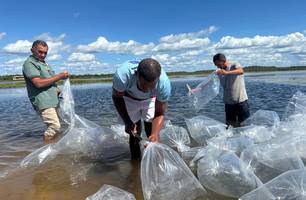 Semarh reforça preservação ambiental e impulsiona piscicultura em Joaquim Pires (Foto: Reprodução/Ascom Semarh)