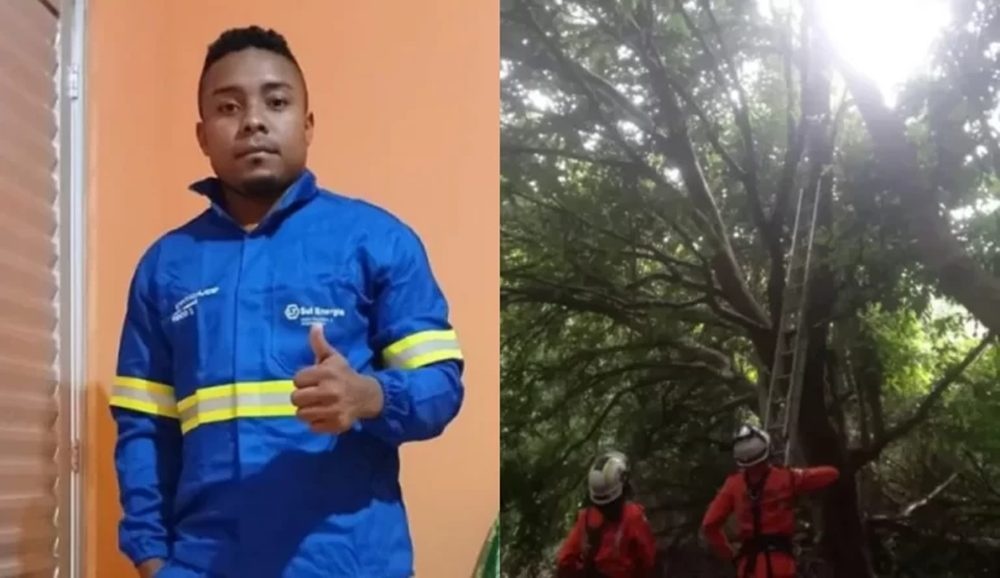 Sergio Rodrigo Guimarães está em cima da árvore desde segunda-feira (2) e se recusa a descer