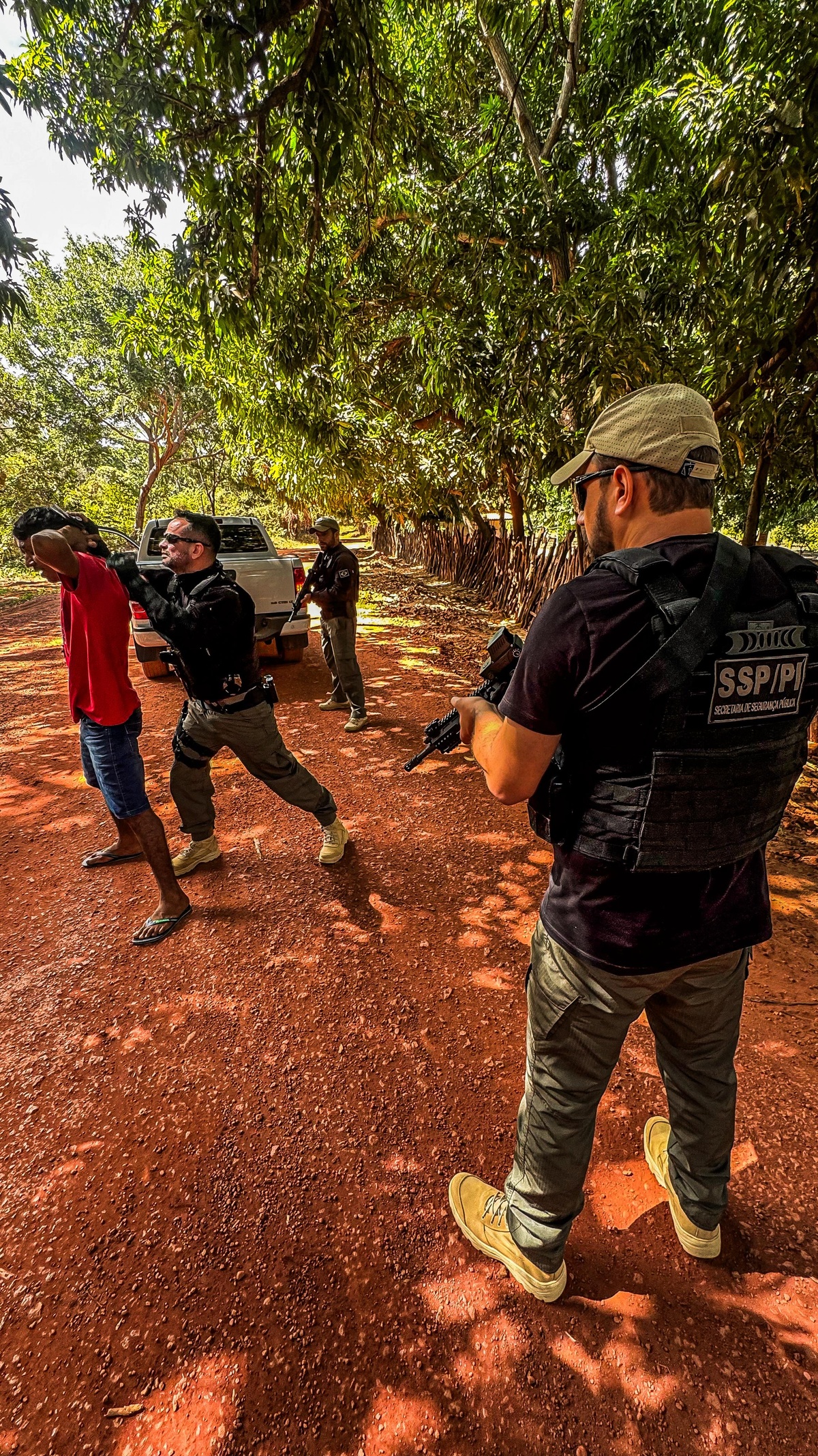 SSP deflagra Operação Porteira Fechada em Piripiri, Pedro II e Juazeiro do Piauí