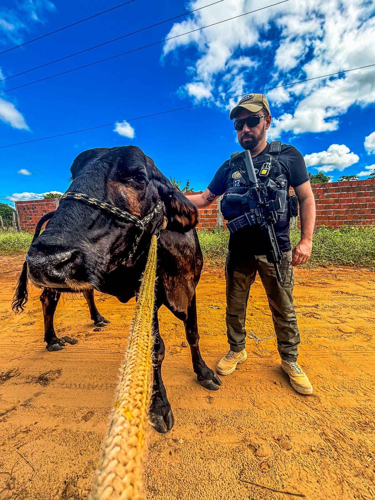 SSP deflagra Operação Porteira Fechada em Piripiri, Pedro II e Juazeiro do Piauí