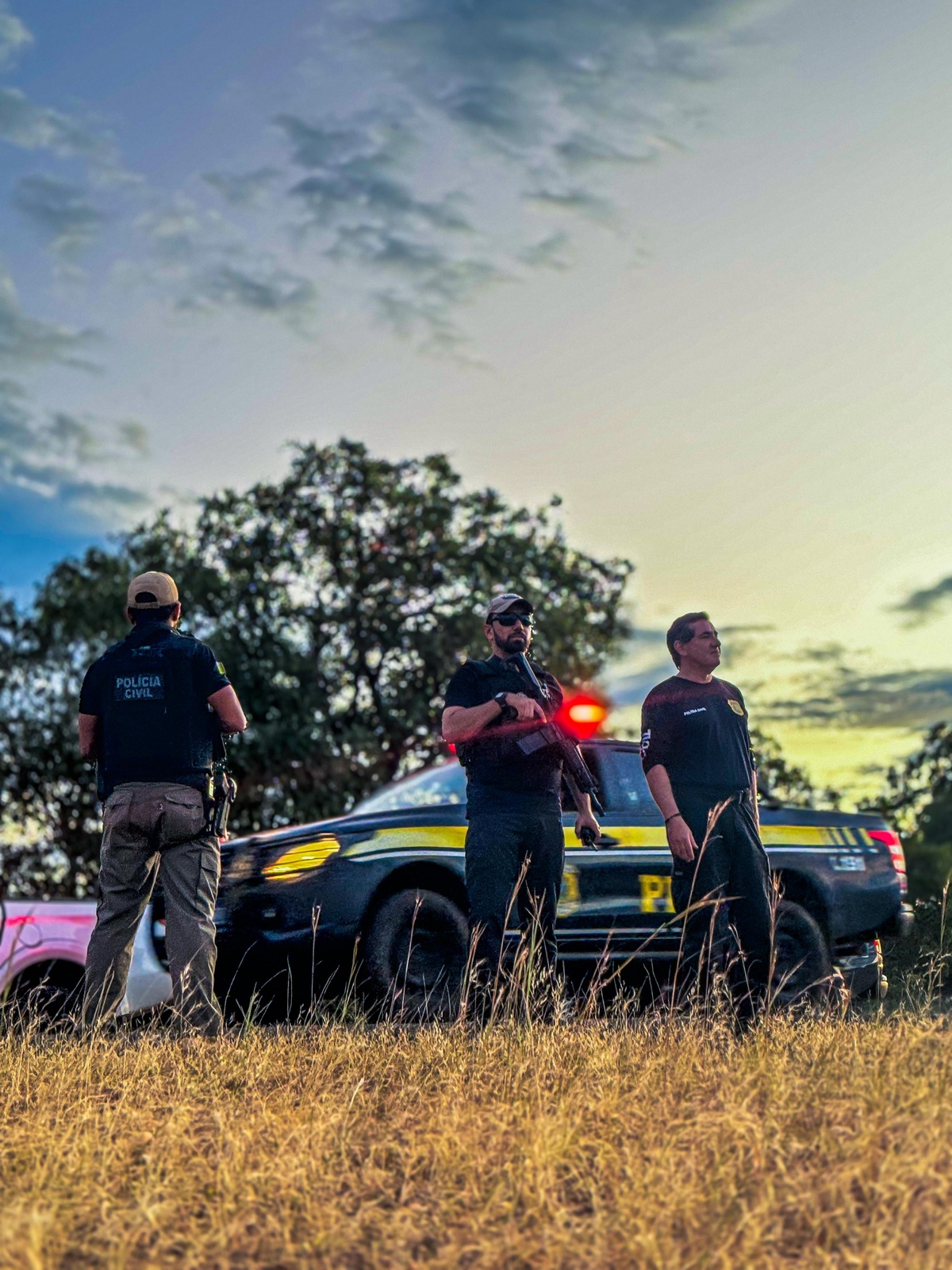 SSP deflagra Operação Porteira Fechada em Piripiri, Pedro II e Juazeiro do Piauí