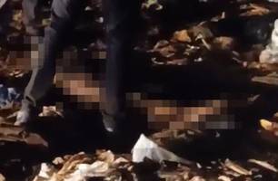 TCE-PI quer ações concretas após morte de criança em aterro sanitário de Teresina (Foto: Reprodução) TCE-PI quer ações concretas após morte de criança em aterro sanitário de Teresina (Foto: Reprodução)