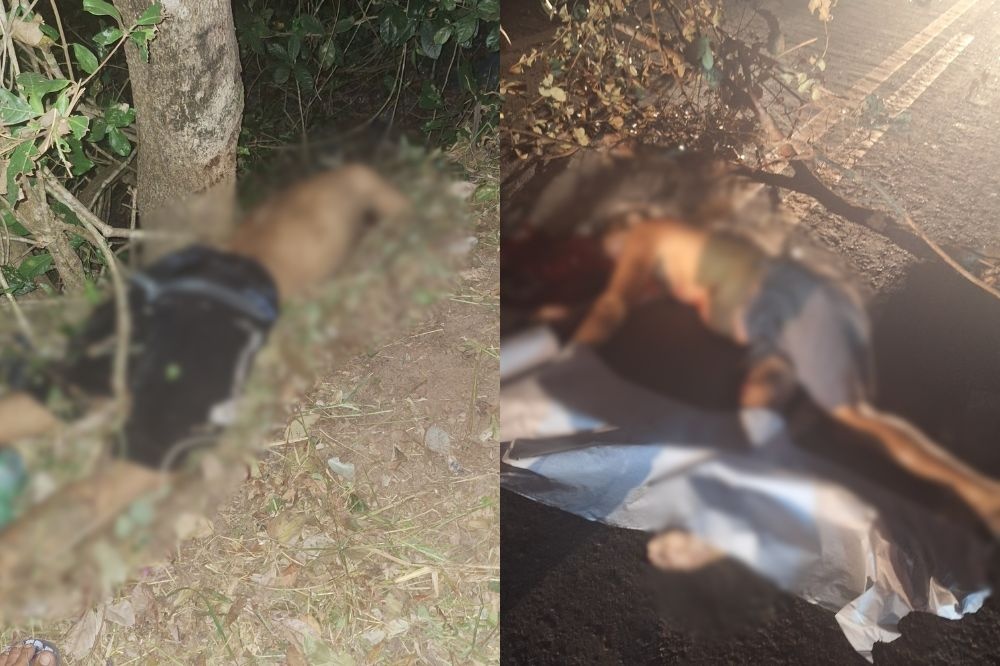 Tragédia na PI-112: três pessoas morrem em acidente na saída de União