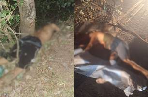 Tragédia na PI-112: três pessoas morrem em acidente na saída de União (Foto: Reprodução)