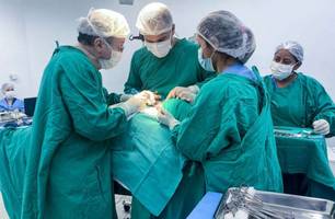 Aprovadas no Senado, novas leis oferecem mais proteção e saúde para mulheres (Foto: Luã Diógenes/ Ascom HGV-CE)