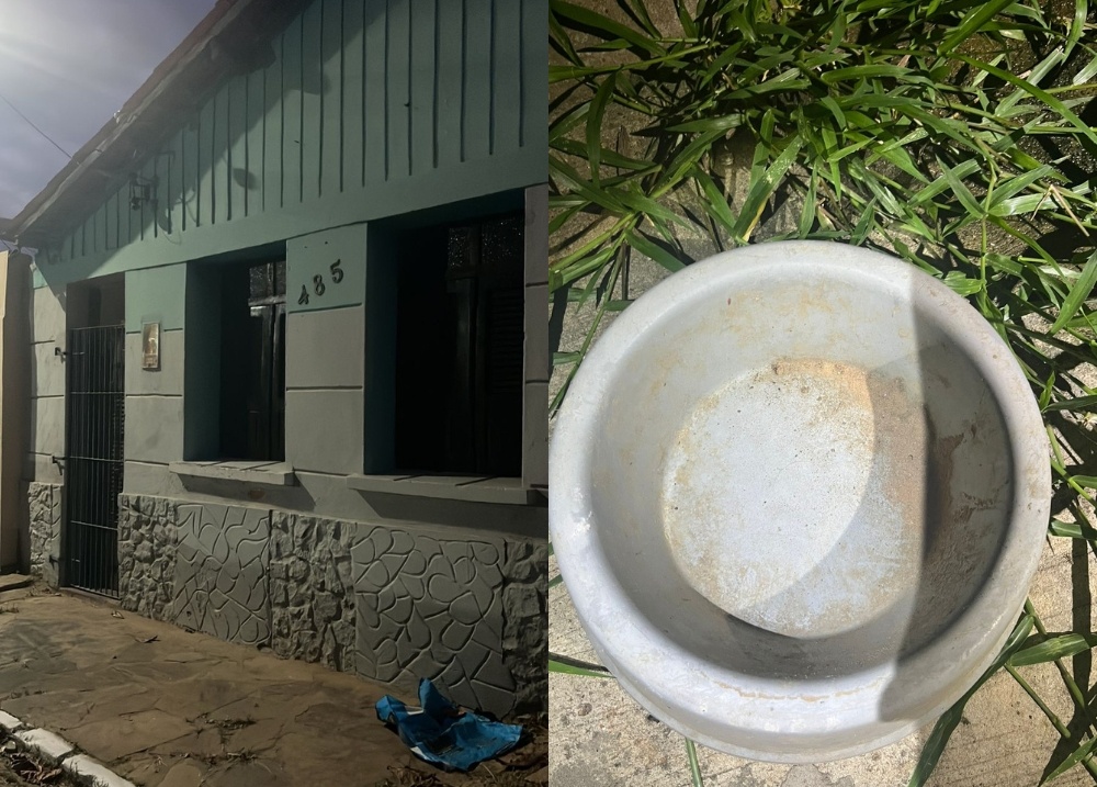 Cadela vítima de maus-tratos é resgatada dentro de residência em Parnaíba