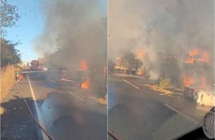 Carreta com carga inflamável tomba e pega fogo na BR-230 em Oeiras (Foto: Reprodução)