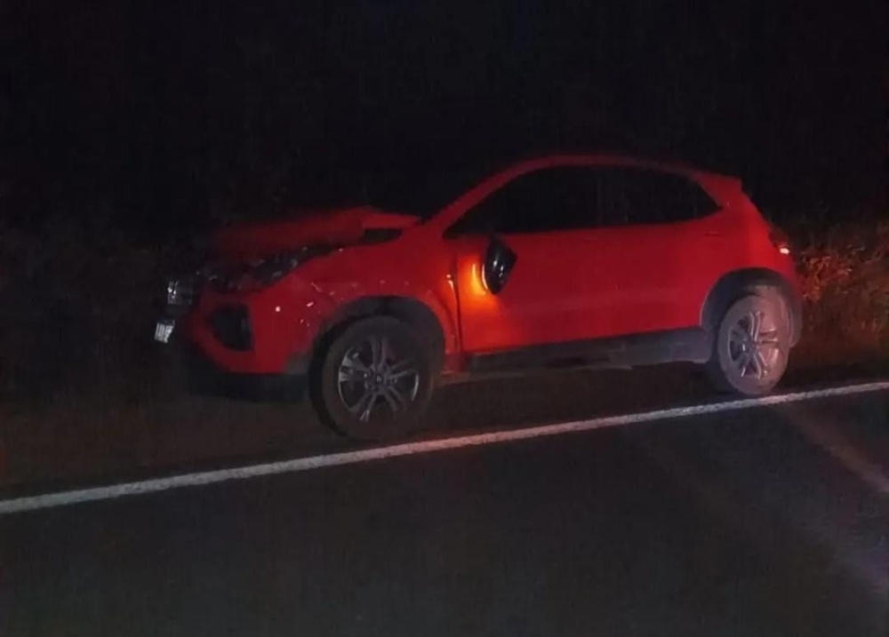 Carro colide contra cavalo na PI-115, em Castelo do Piauí; motorista escapa ileso