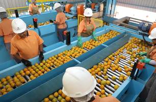 Cerca de 700 produtos não serão taxados pelos EUA; Confira a lista (Foto: Ari Dias/Governo do Paraná)