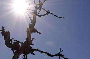 Clima seco (Foto: Reprodução) Clima seco (Foto: Reprodução)