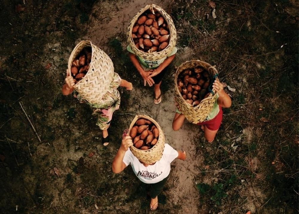 Com foco na luta das quebradeiras de coco, documentário Babaçu Livre é lançado