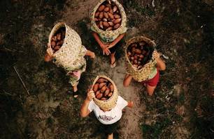 Com foco na luta das quebradeiras de coco, documentário Babaçu Livre é lançado (Foto: Reprodução/ ASCOM) Com foco na luta das quebradeiras de coco, documentário Babaçu Livre é lançado (Foto: Reprodução/ ASCOM)