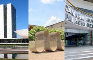 Congresso Nacional, Assembleia Legislativa do Piauí e Câmara Municipal de Teresina. (Foto: Foto: Montagem.) Congresso Nacional, Assembleia Legislativa do Piauí e Câmara Municipal de Teresina. (Foto: Foto: Montagem.)