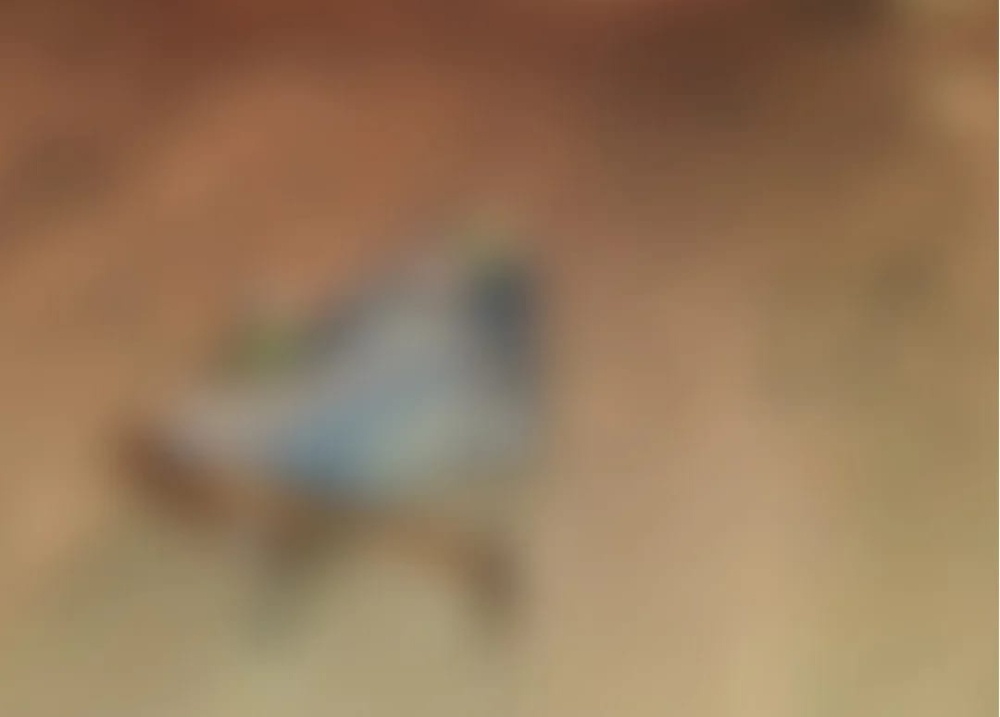 Corpo de ex-presidiário é encontrado na zona rural de Francisco Macedo