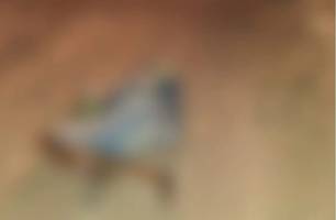 Corpo de ex-presidiário é encontrado na zona rural de Francisco Macedo (Foto: Reprodução) Corpo de ex-presidiário é encontrado na zona rural de Francisco Macedo (Foto: Reprodução)