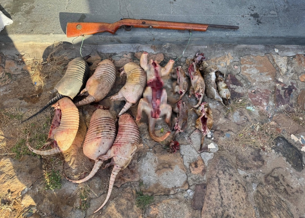 Em nova ação, mais caçadores são detidos com animais abatidos em Coronel José Dias